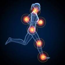 The Science Behind Recovery: How Your Body Heals and Builds Back Stronger