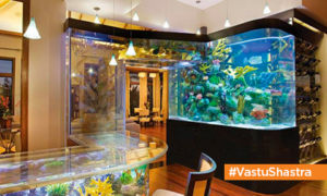 fish-aquarium-vastu-placement-guide
