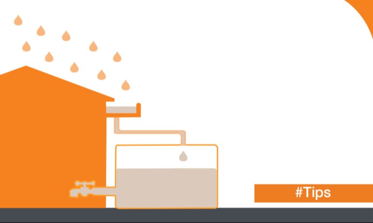 : how-to-harvest-rainwater-at-your-home