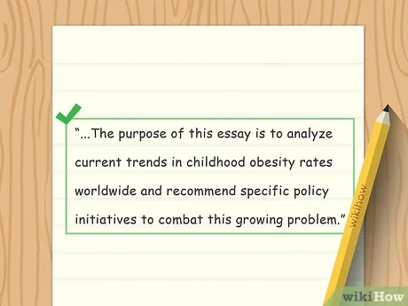 Essay Without Introduction