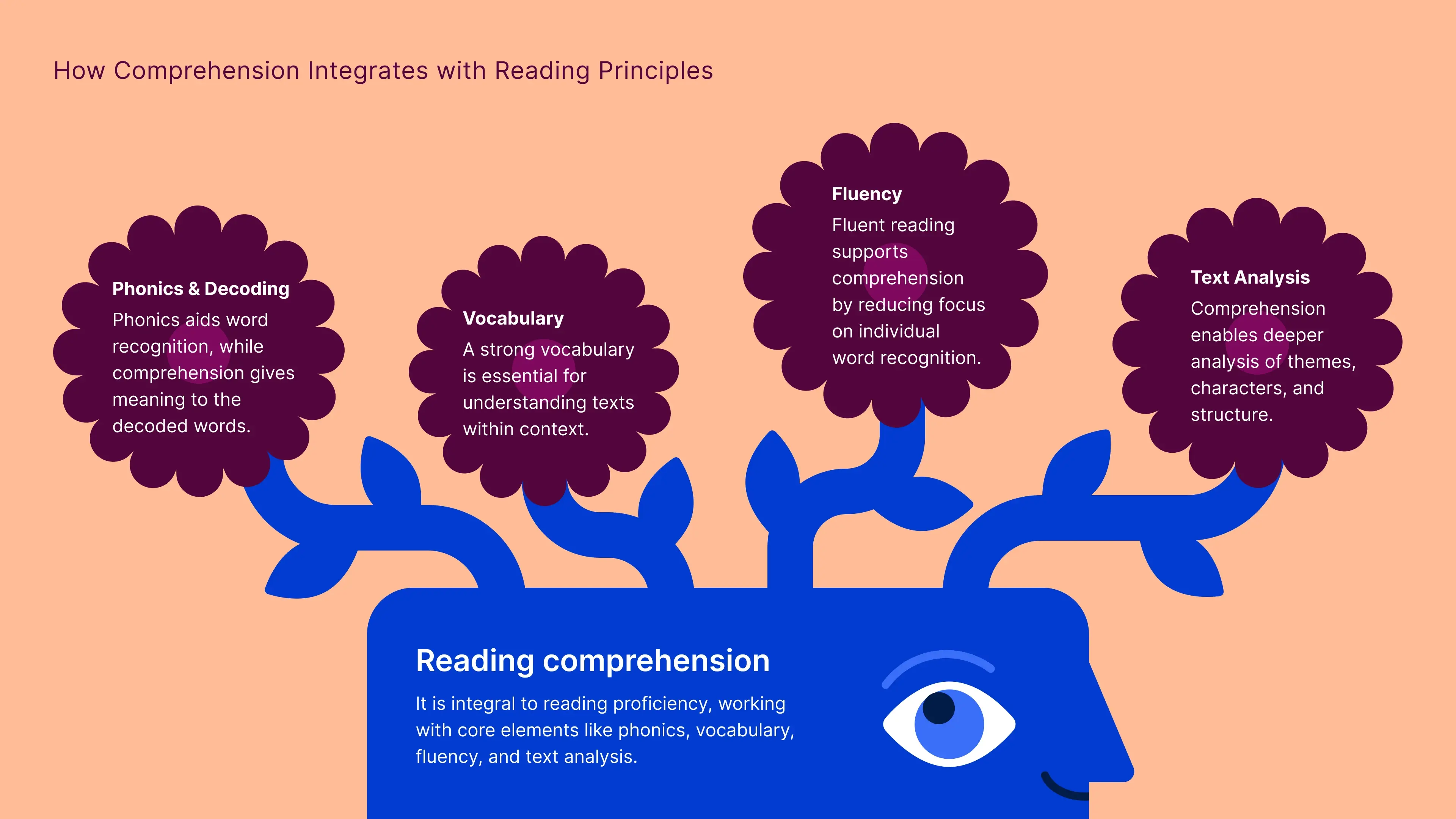 Understanding Reading Texts